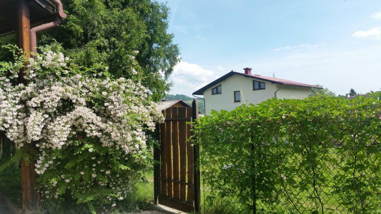 Świnna - Brzozowy Zagajnik Zewnętrze zdjęcie
